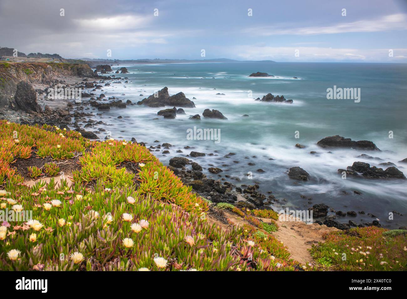 Slow exposure of Pacific Ocean surf and Ice Plant (Aizoaceae) at Sereno del Mar, California, USA; California, United States of America Stock Photo