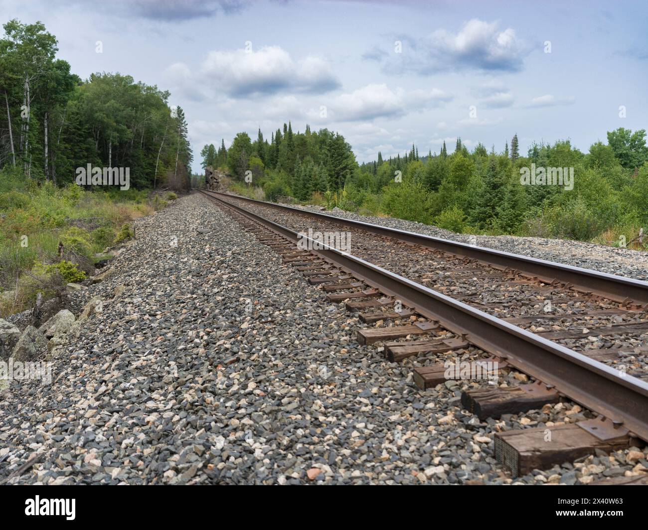 Train tracks through a forested area along Boyne Lake Trail; Ontario, Canada Stock Photo