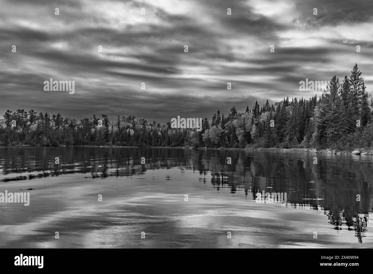 Beautiful forest reflected in the lake Black and White Stock Photos ...