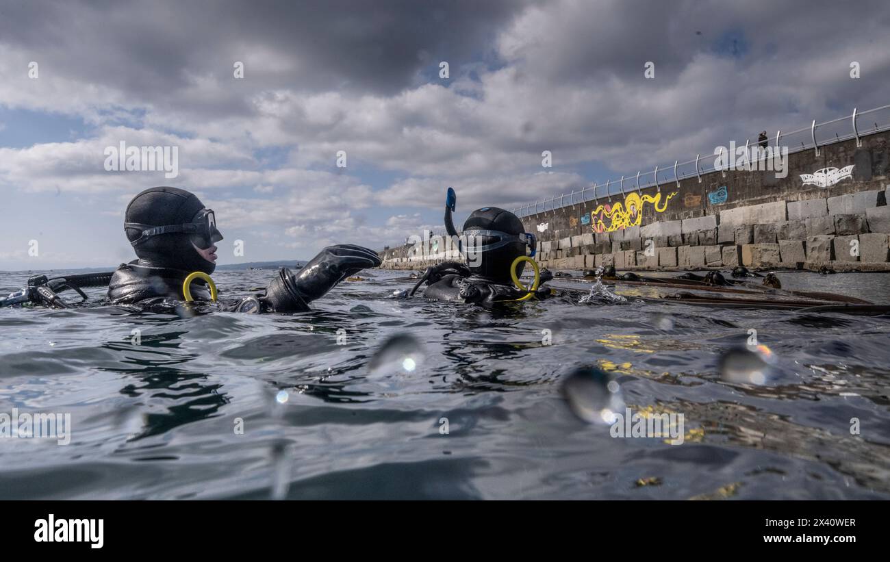 Scuba divers in gear in the water beside a wall with graffiti, with