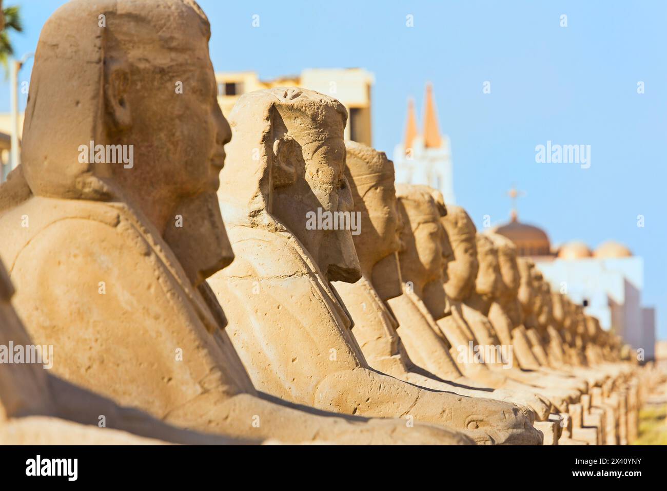 Avenue of Sphinxes at Luxor Temple; Luxor, Egypt Stock Photo
