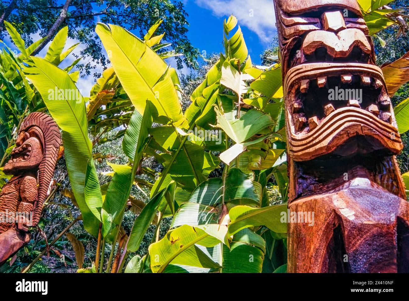 Maori mythology hi-res stock photography and images - Alamy