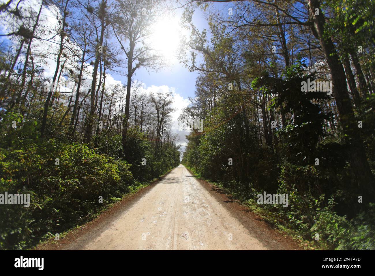 City of everglades hi-res stock photography and images - Alamy