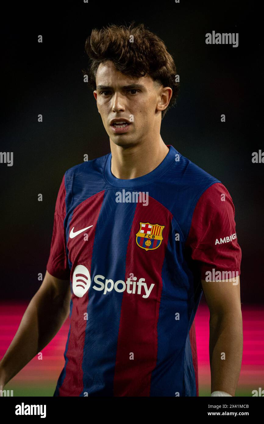Barcelona, Spain. 29th Apr, 2024. Joao Felix (FC Barcelona) looks on