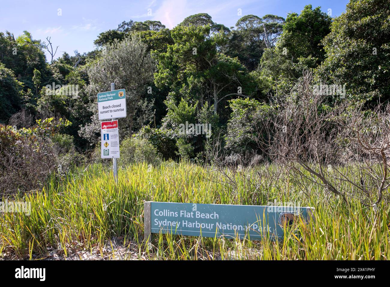 Collins Flat beach Manly in Sydney harbour national park, signage and information,Sydney,NSW,Australia Stock Photo