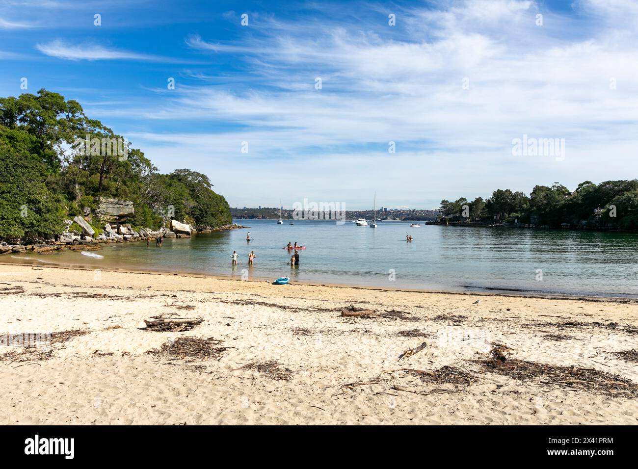 Collins Beach aka Collins Flat beach is a Sydney harbourside secluded beach, home to little penguins, and popular with families and small children,NSW Stock Photo