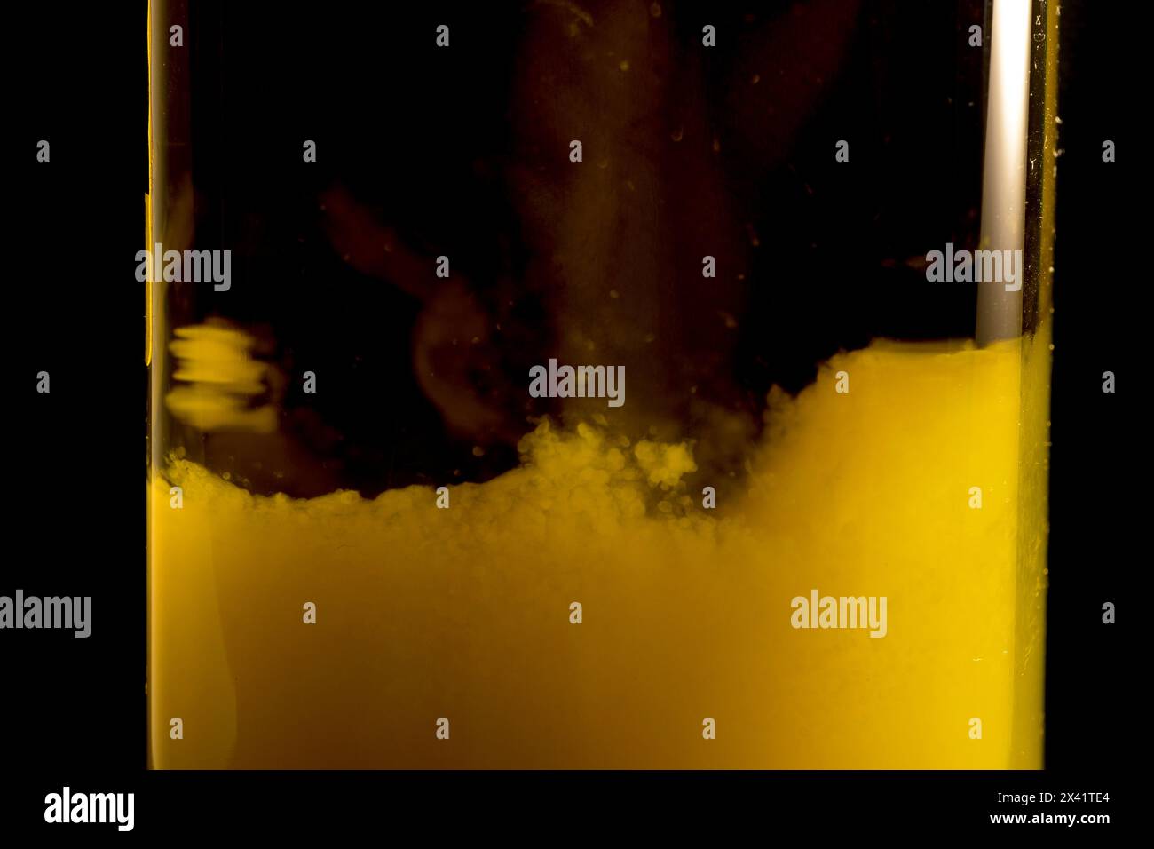 Olive oil production process hi-res stock photography and images - Alamy