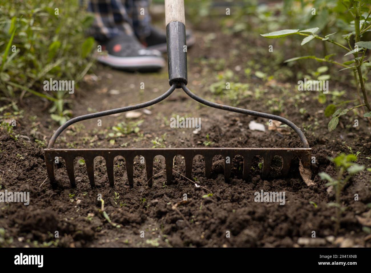 details of a rake plowing the land, farm work tools, objects for ...