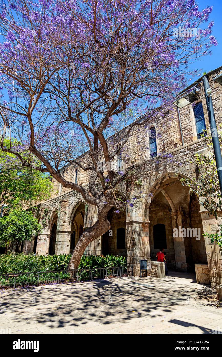 Barcelona, Spain - June 1, 2019. Facade of the former Santa Creu Hospital in Barcelona. Now, the important Gothic ensemble is the National Library of Stock Photo