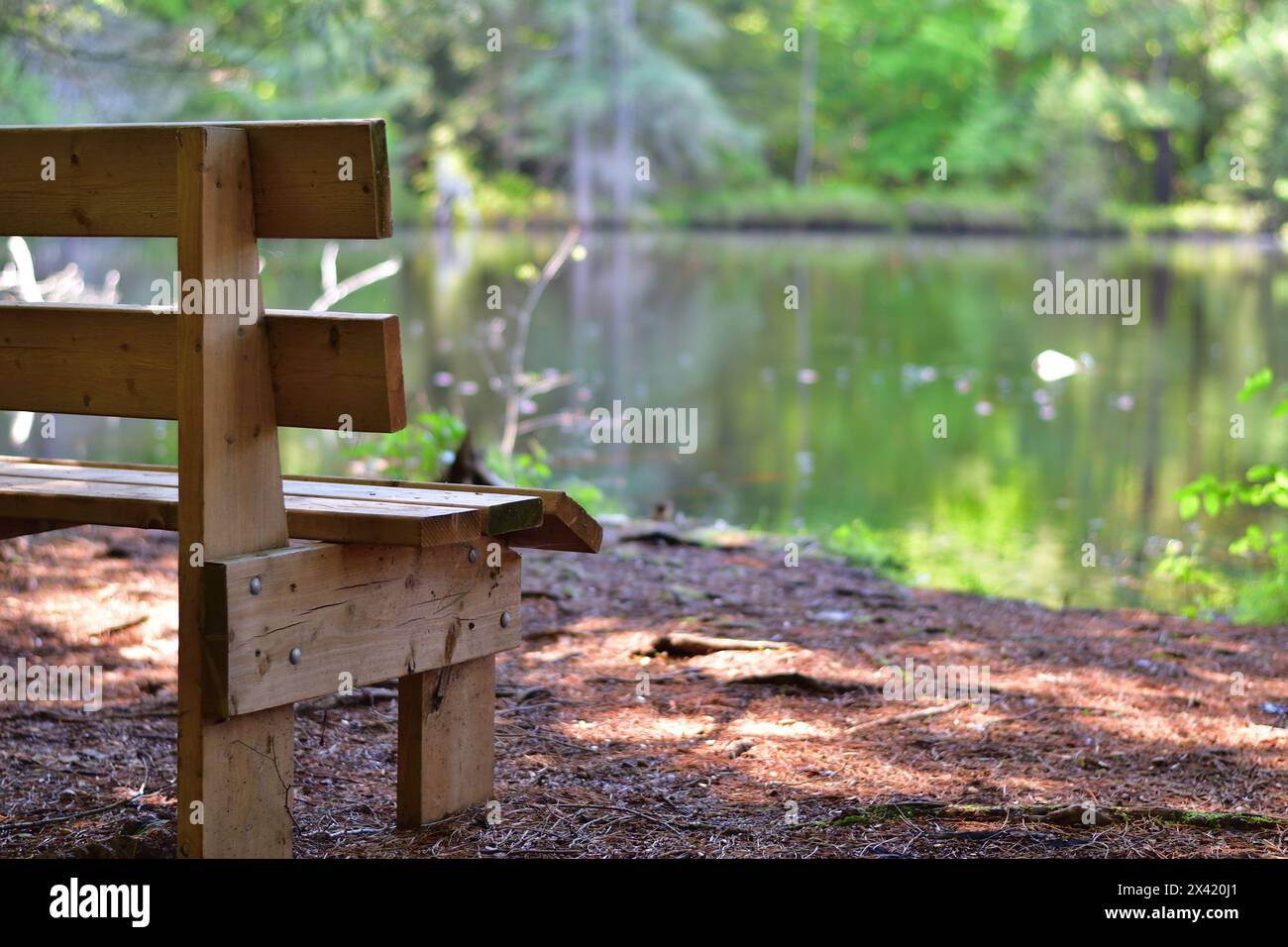 Wooden park bench on lake side. Perfect place for meditation. Calm moment in nature. Stock Photo