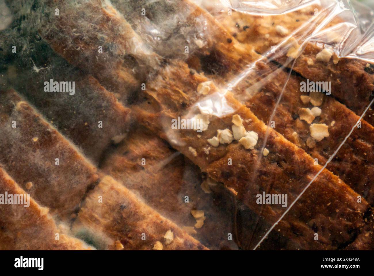 Mouldy bread, bread covered in blue-green mould or mold Stock Photo