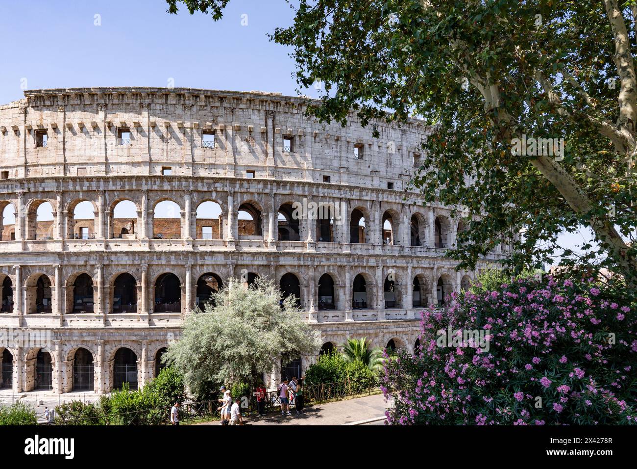 Rome, Italy - July 15 2023: View of Colosseum or Coliseum, a historic landmark. Elliptical, ancient amphitheater used for gladiator fights in Rome, It Stock Photo