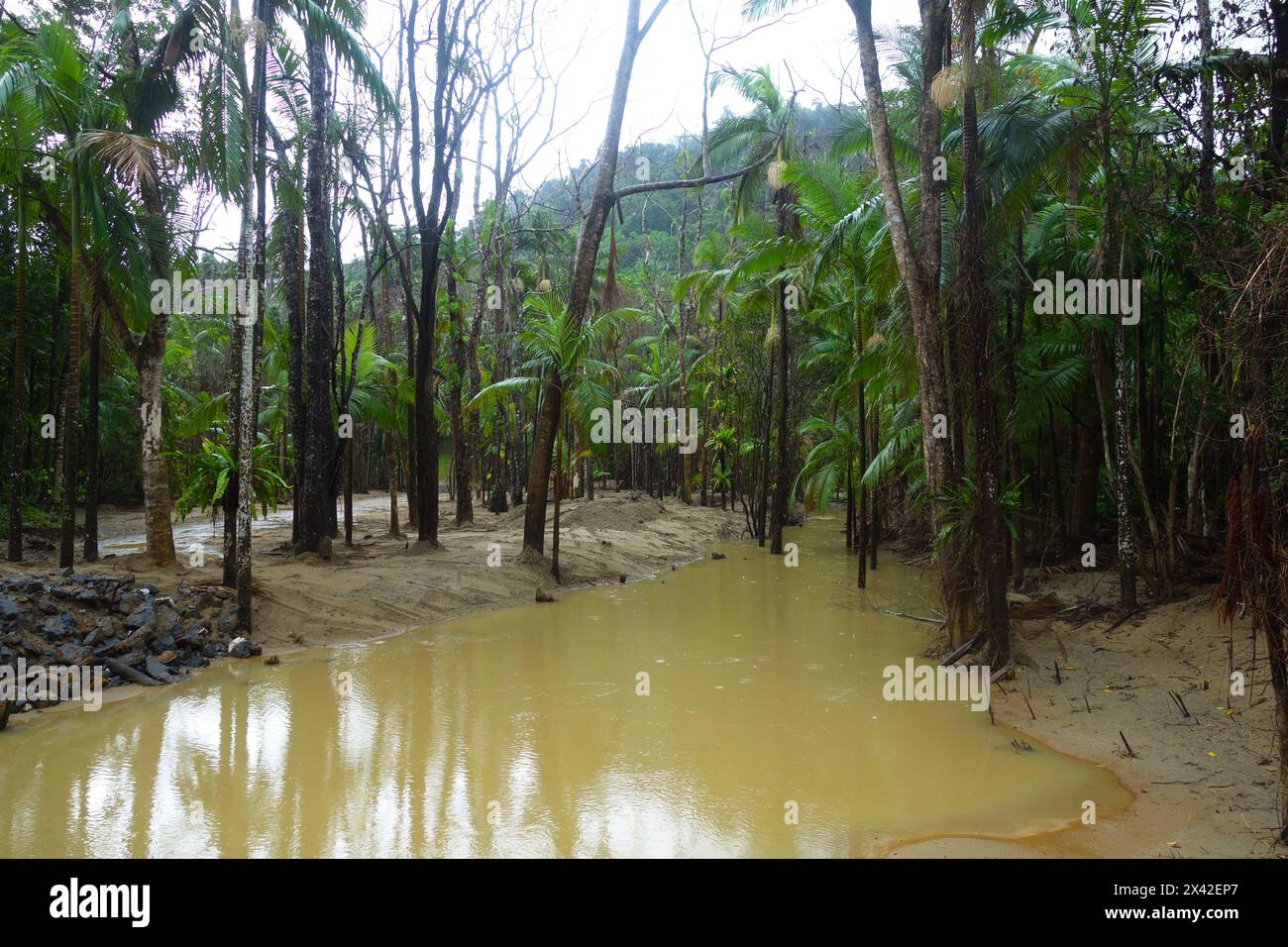 Shocking damage to previously pristine Hutchinson Creek due to landslides upstream, more than four months after Cyclone Jasper, world heritage rainforests of Daintree National Park, near Cairns, Queensland, Australia. Stock Photo
