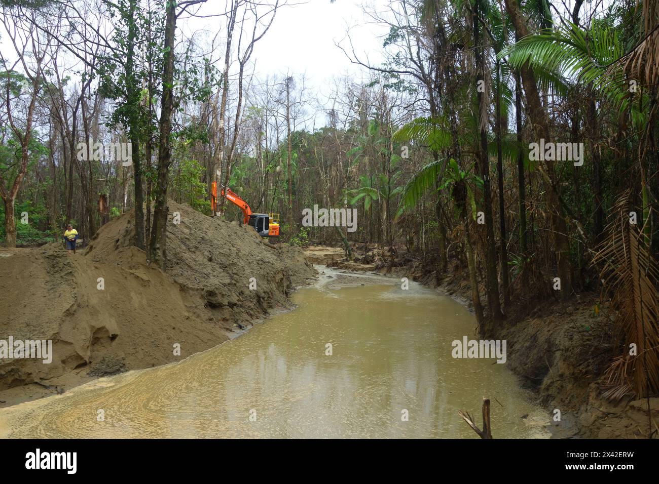Earthmovers working to reduce shocking damage to previously pristine Hutchinson Creek due to landslides upstream, more than four months after Cyclone Jasper, world heritage rainforests of Daintree National Park, near Cairns, Queensland, Australia. No MR or PR Stock Photo