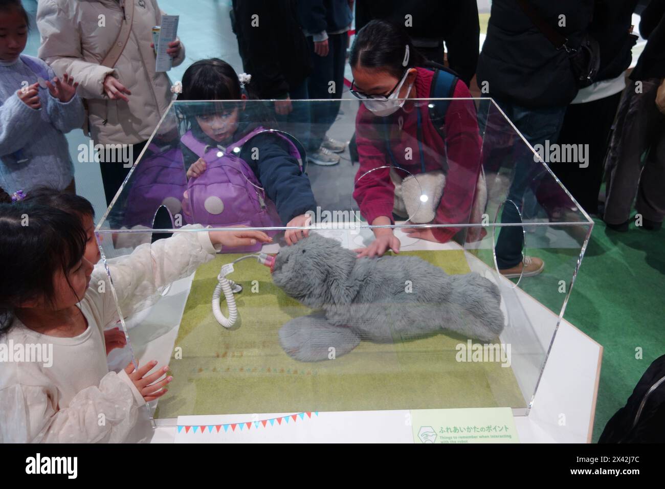 PARO, a medical robot designed to provide comfort and relieve stress in situations where real animals are not available, on display at Miraikan - The Stock Photo
