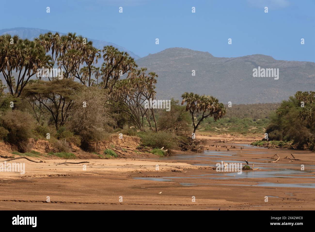 Buffalo Spring Reserve landscape, Samburu National Reserve, Kenya, Africa Stock Photo