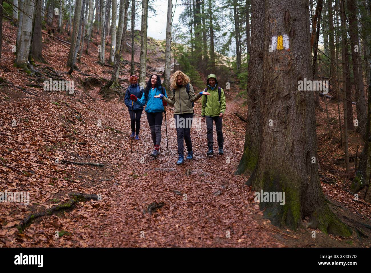 Women with backpacks hiking on a rainy day in the mountains Stock Photo