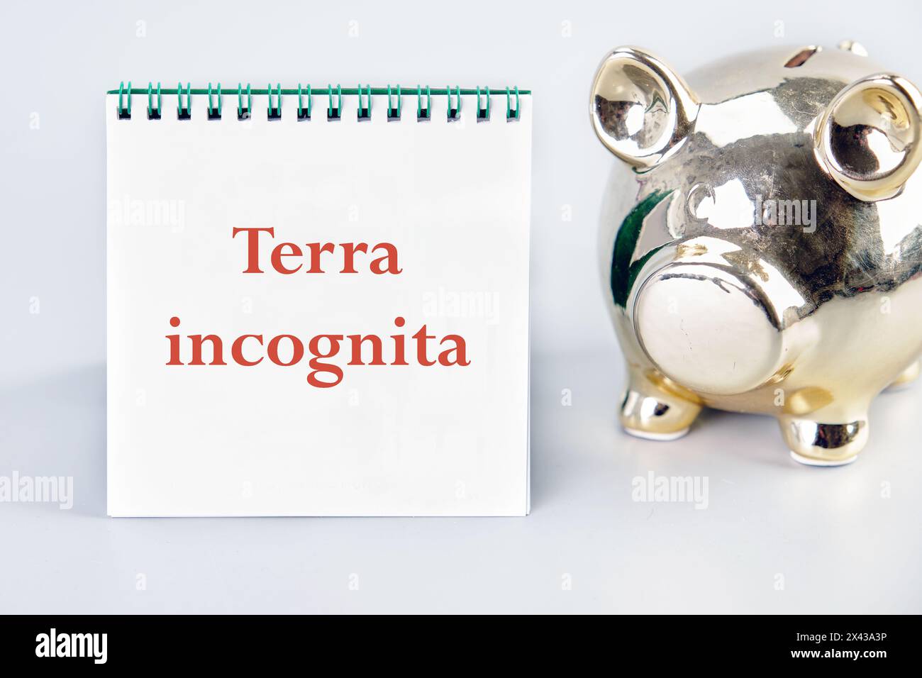 Terra incognita the phrase means unknown land on a vertically standing ...