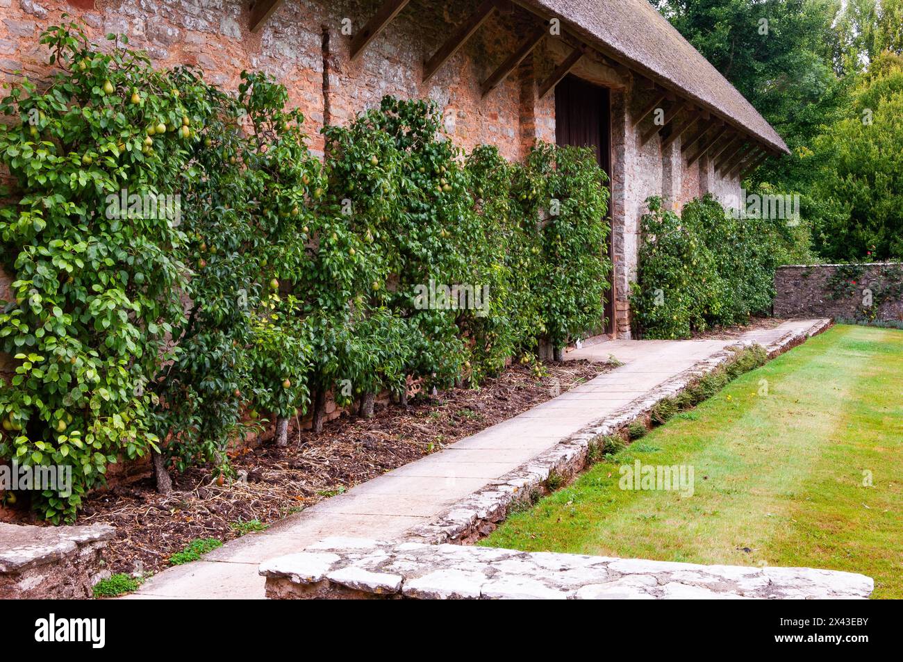 Sir humphrey gilbert compton castle hi-res stock photography and images ...