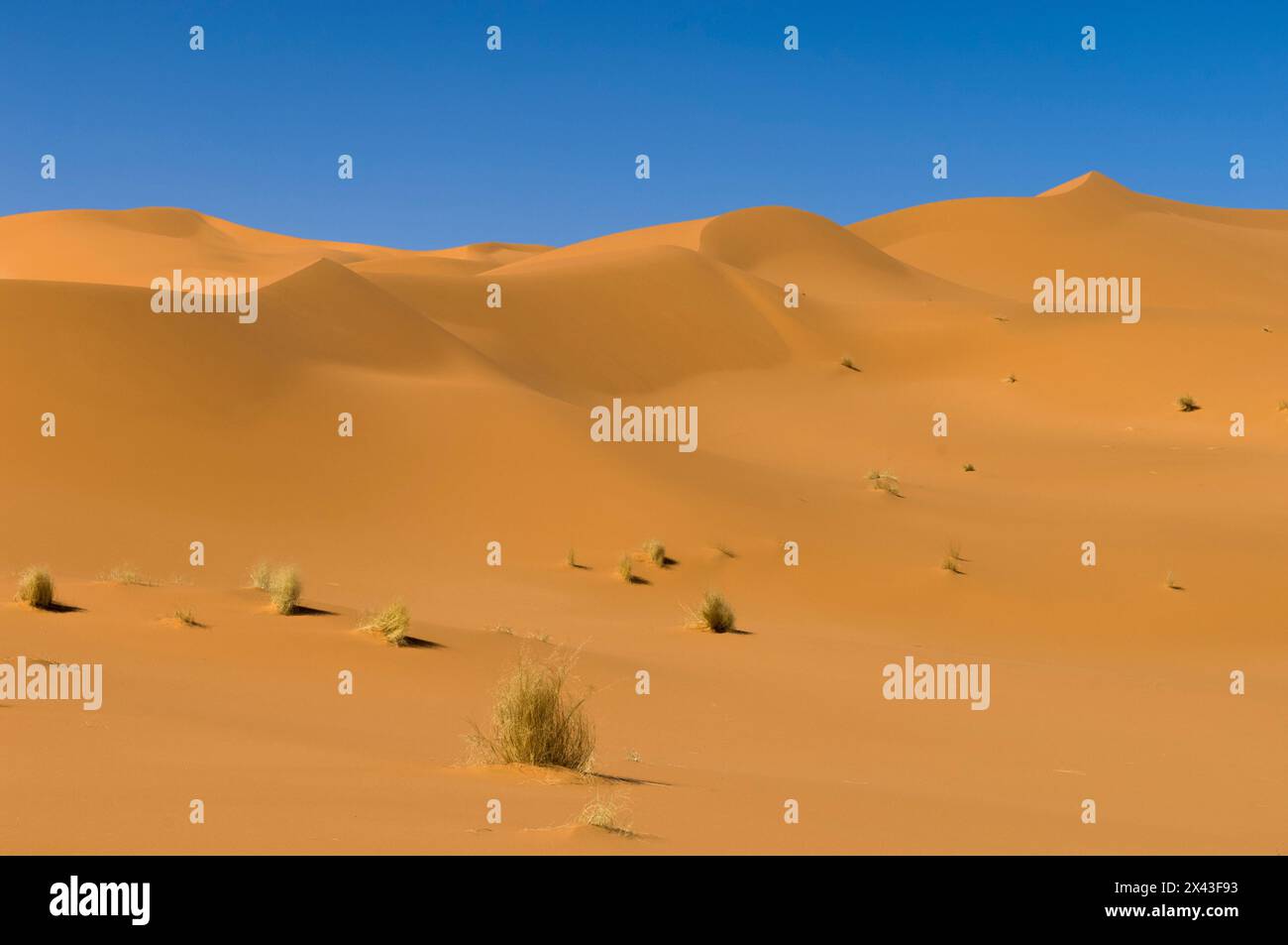 Sand dunes in the Sahara desert. Akakus, Fezzan, Libya Stock Photo