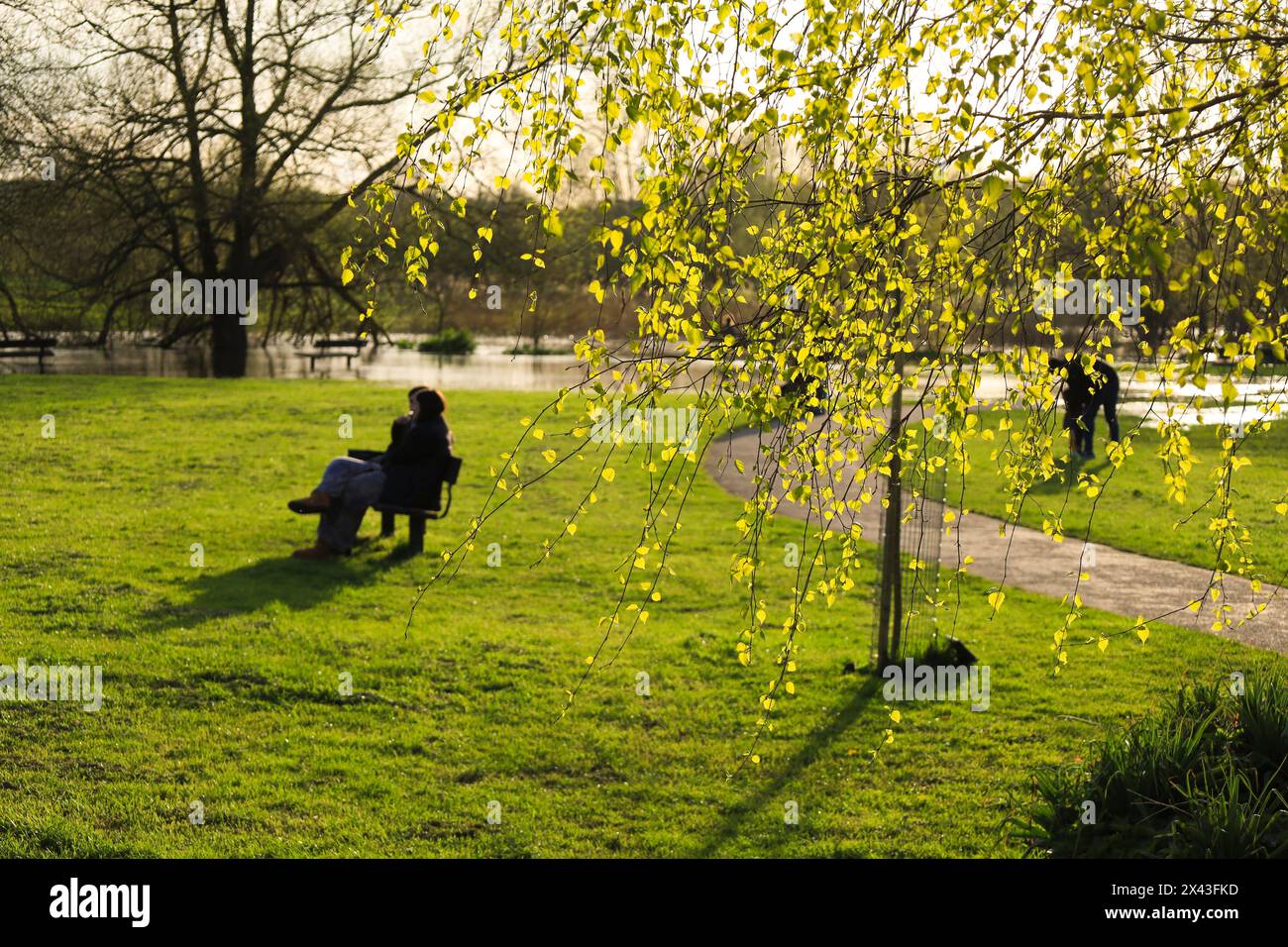 Beautiful Queen Elizabeth Gardens in Salisbury city Stock Photo