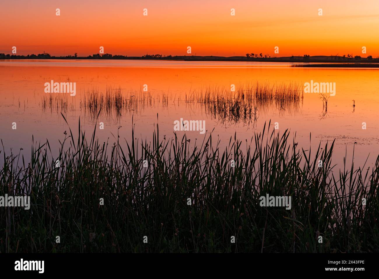 Canada, Alberta, Kinbrook Island Provincial Park. Lake Newell at dawn
