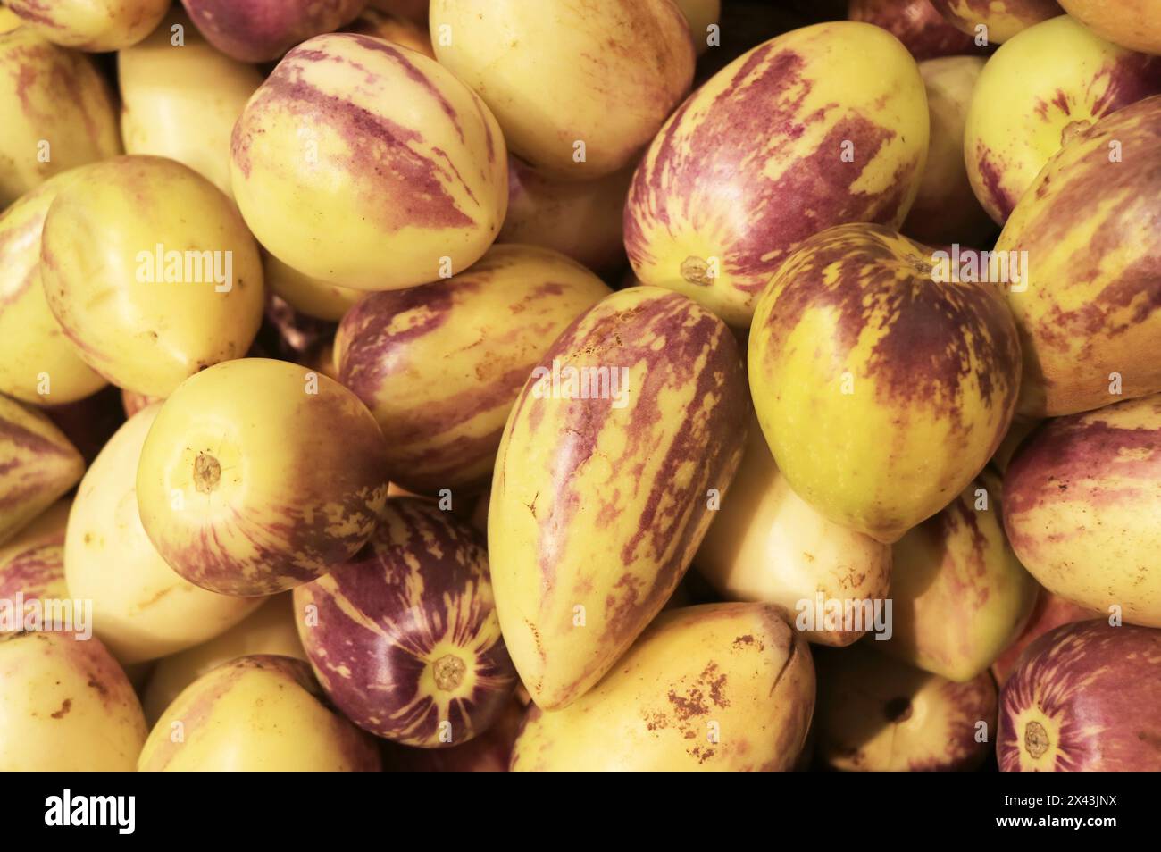 Pile of Pepino Dulce or Pepino Melon Fruits for Sale in Local Market of Santiago, Chile, South America Stock Photo