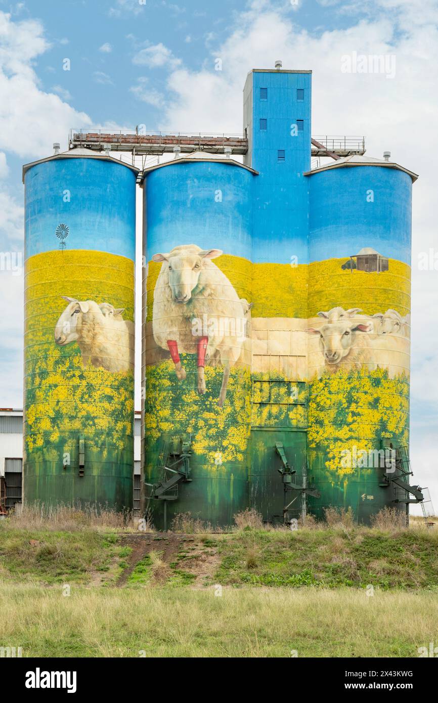 Silo Art by David Lee Pereira, Merriwa, NSW, Australia Stock Photo