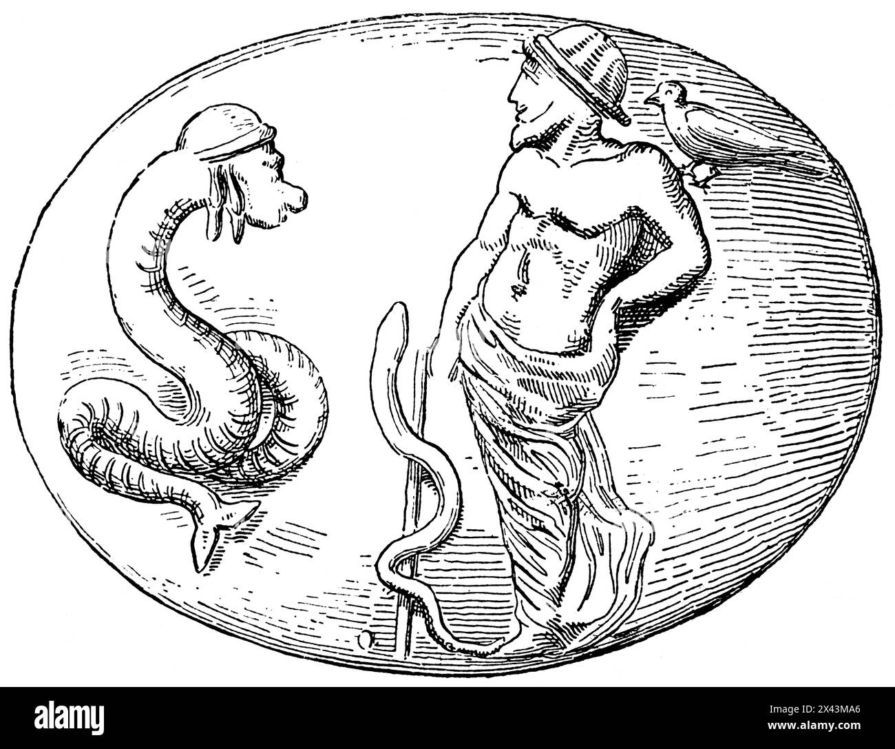 Asclepius ,God of medicine and physicians, and his incarnation as a serpent, ancient Greek mythology, Greece, Stock Photo