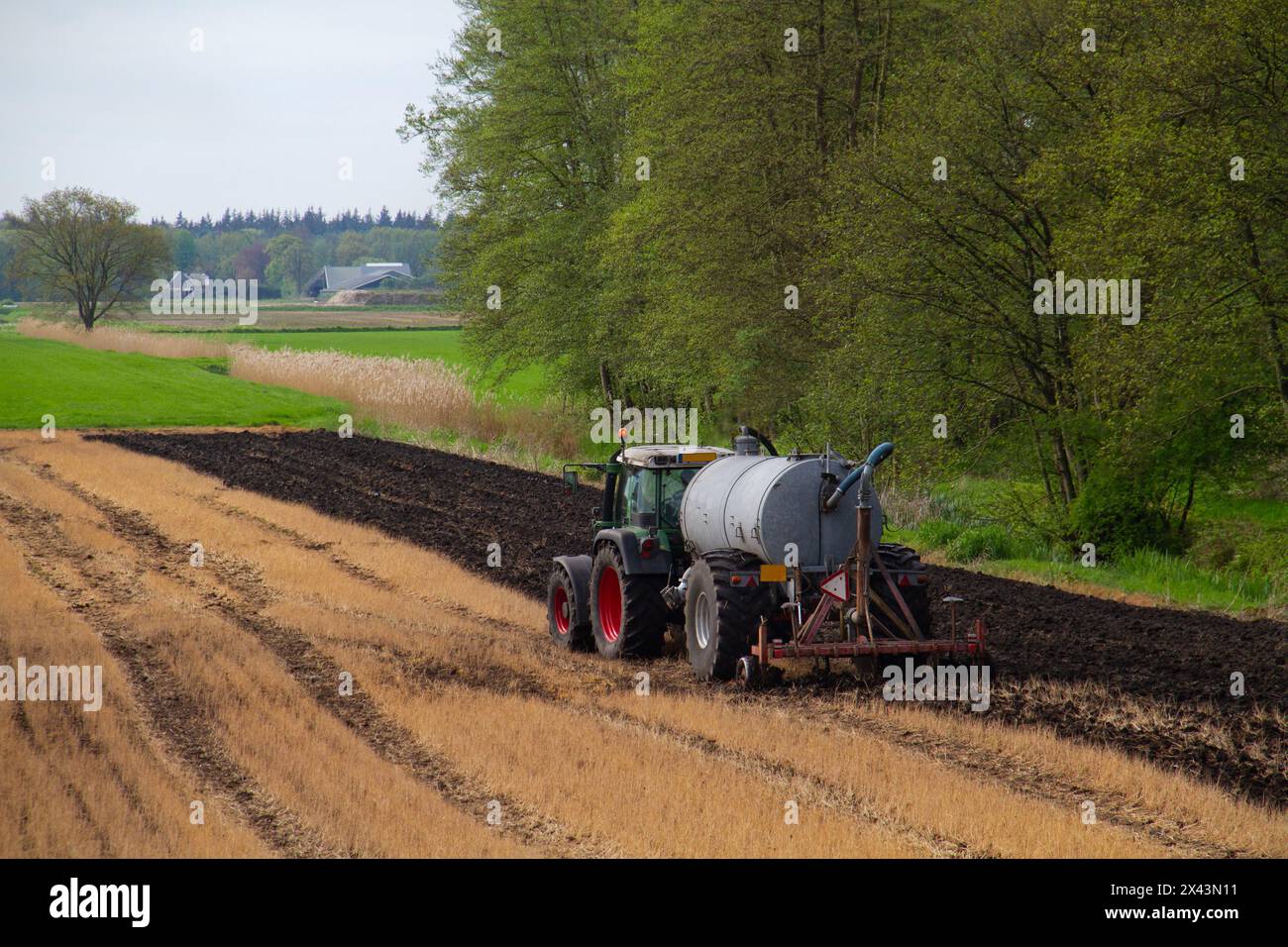 Tractor with slurry tank preparing field treated with glyphosate for cultivation by applying manure and plowing under sprayed plant residues Stock Photo