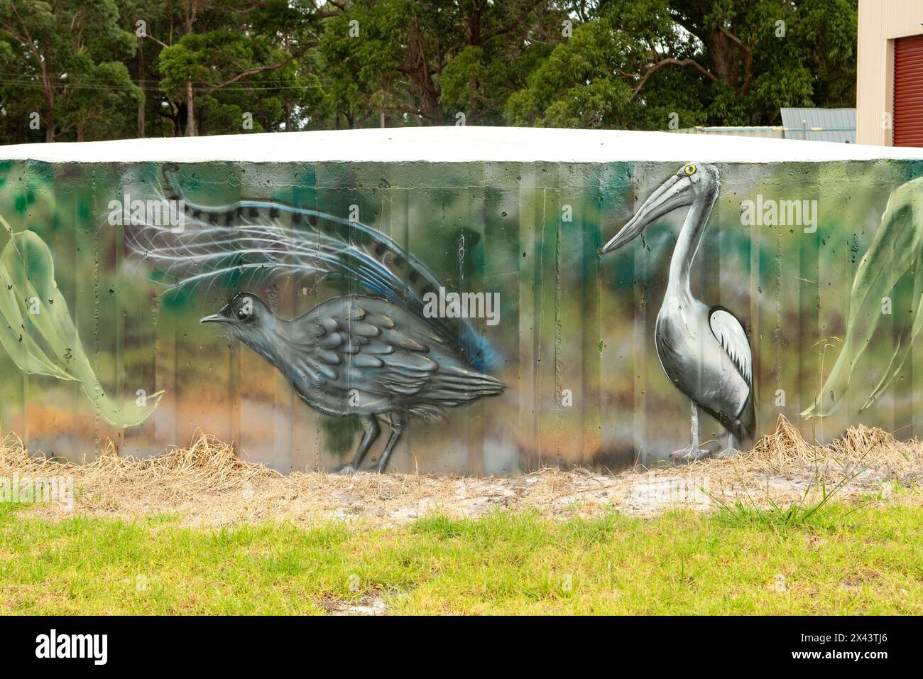 Native Birds Water Tank Art by Simon White, Bemm River, Victoria