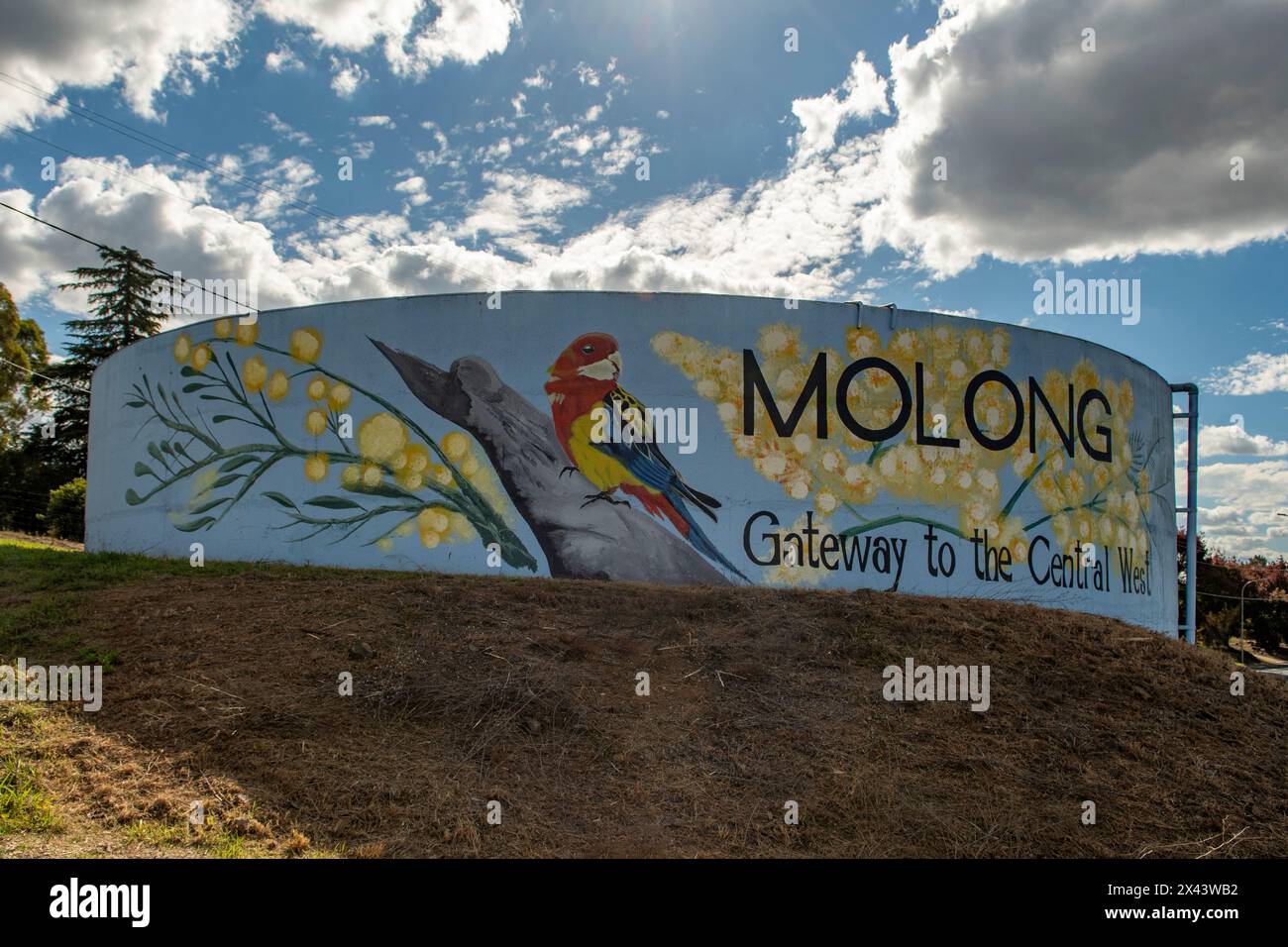 Water Tank Art by Michael Crook and Ricky Ahsee, Molong, NSW, Australia Stock Photo Alamy