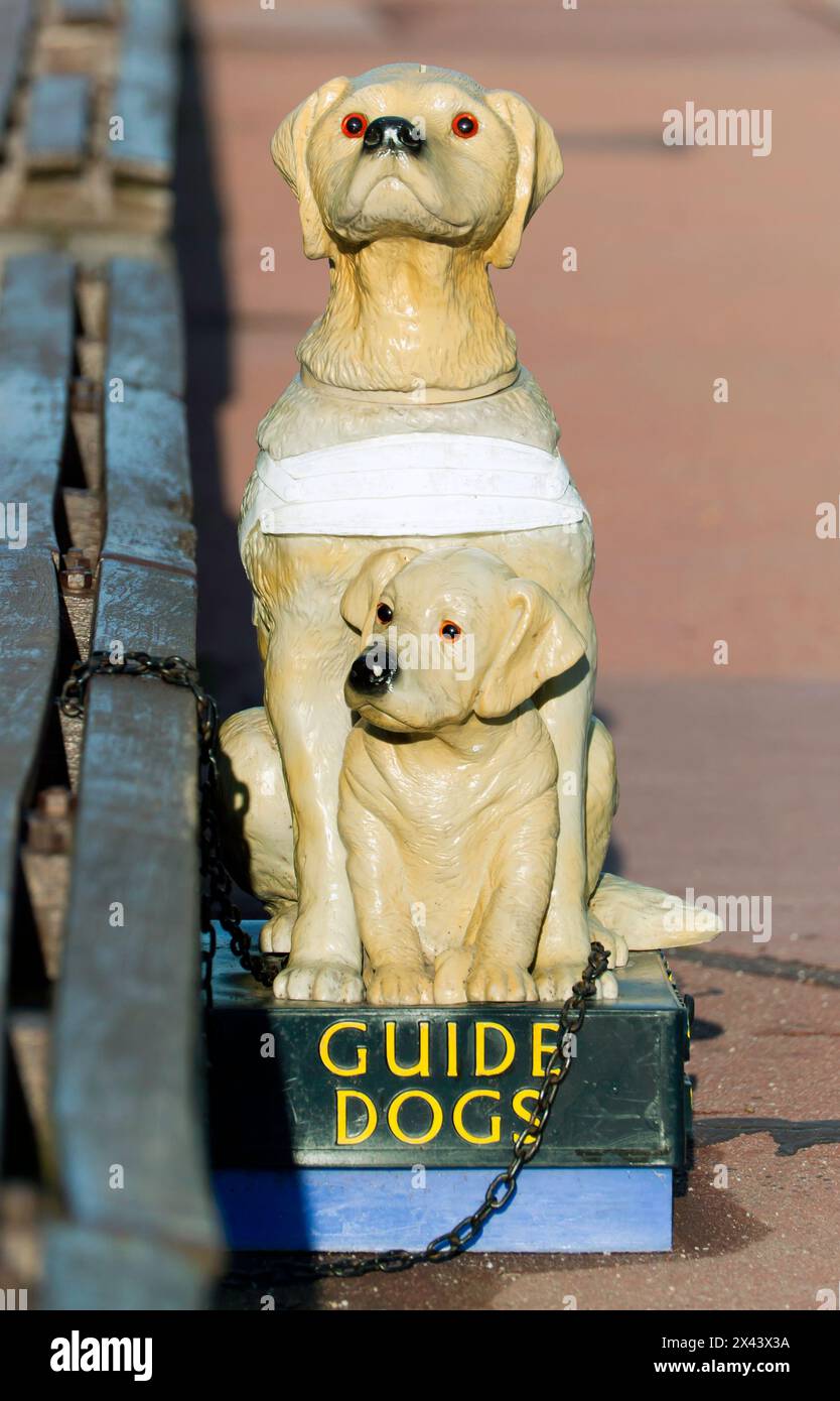 Close-up of a Collection Box for the Guide Dogs  at the foot of Deal Pier, kent Stock Photo