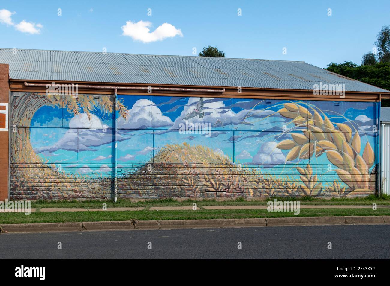 Gulargambone nsw hi-res stock photography and images - Alamy