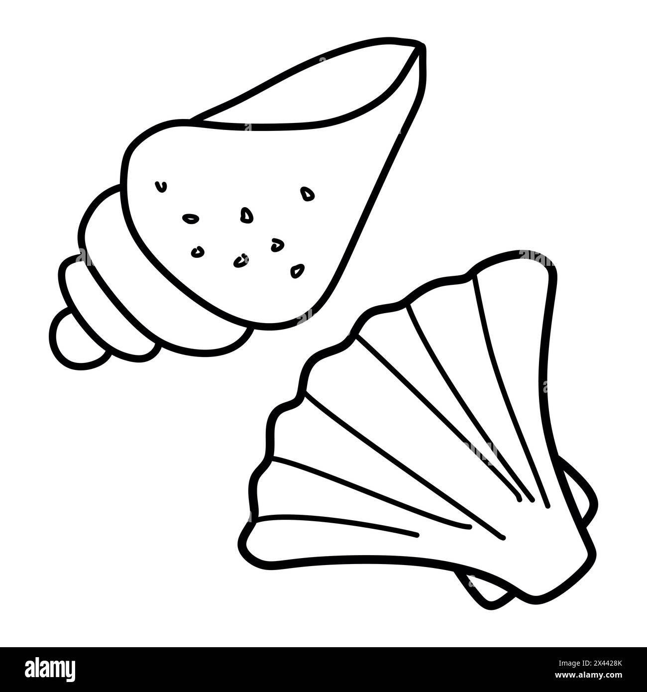 Scallop Seashell Linear Hand drawn illustration. Vector Outline Ocean ...