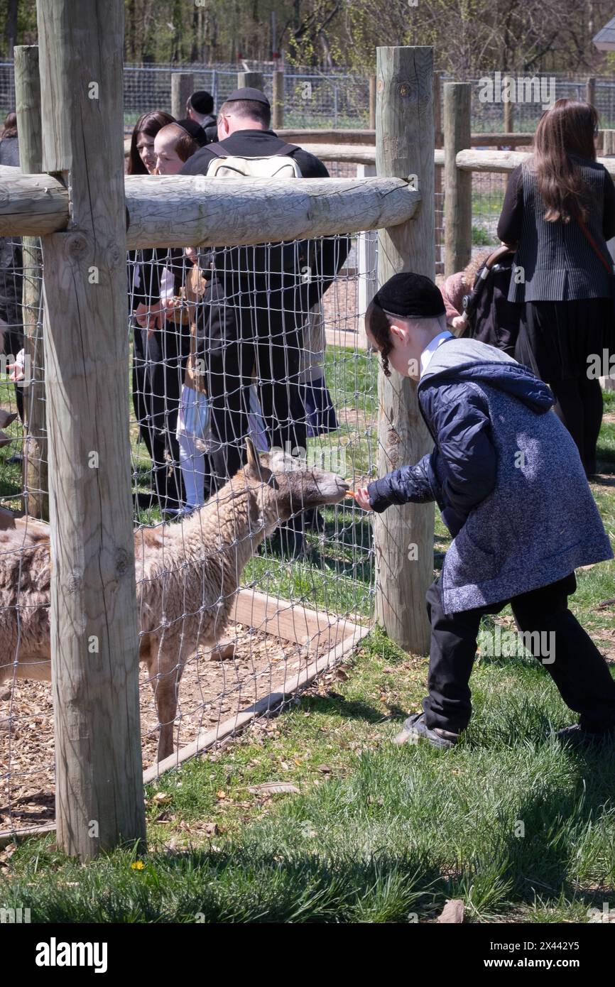 Hasidic boy hires stock photography and images Alamy