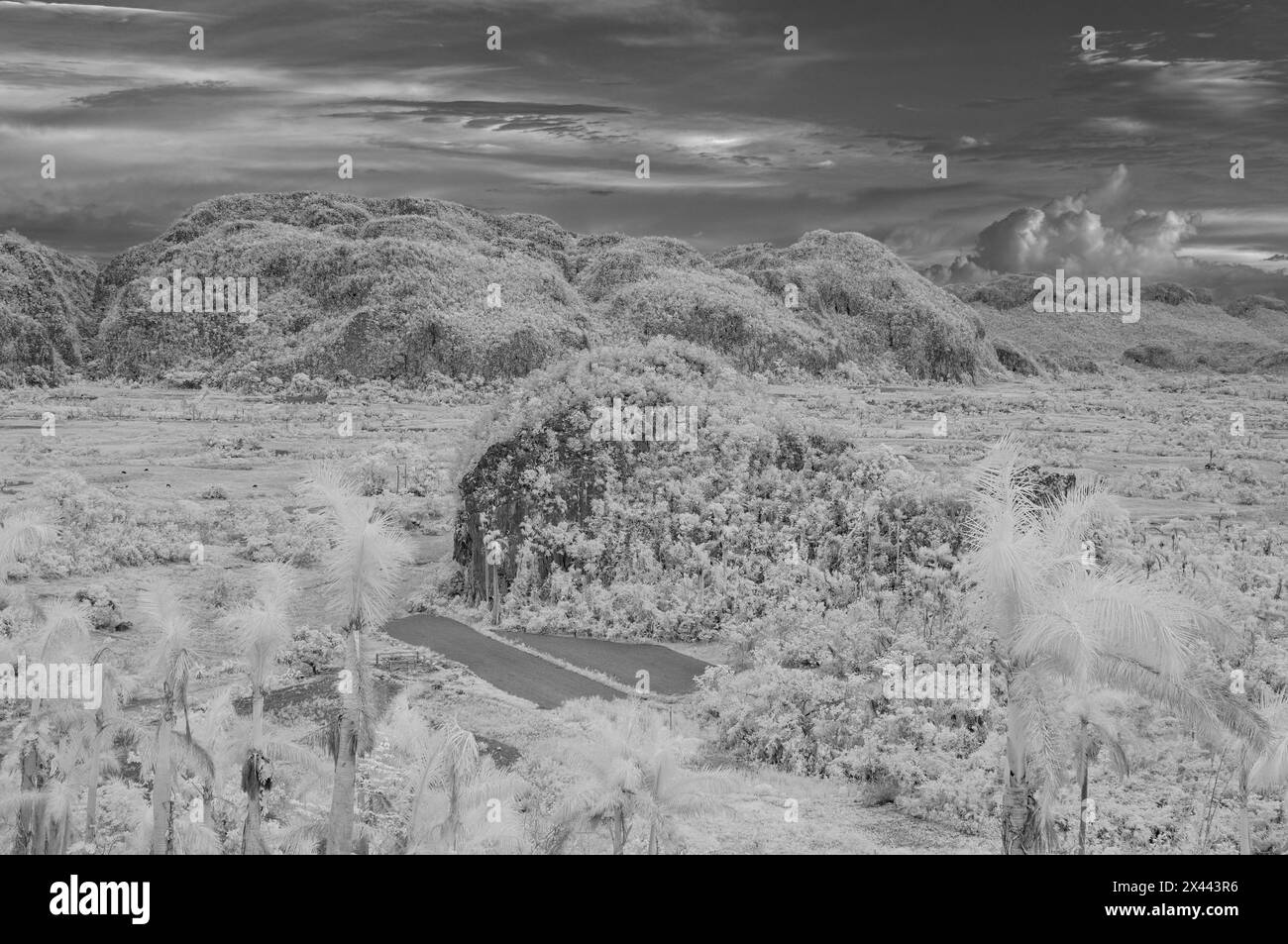 An infrared landscape picture taken looking across the Vinales valley at the dramatic Karst landscape. Near Vinales, Cuba Stock Photo