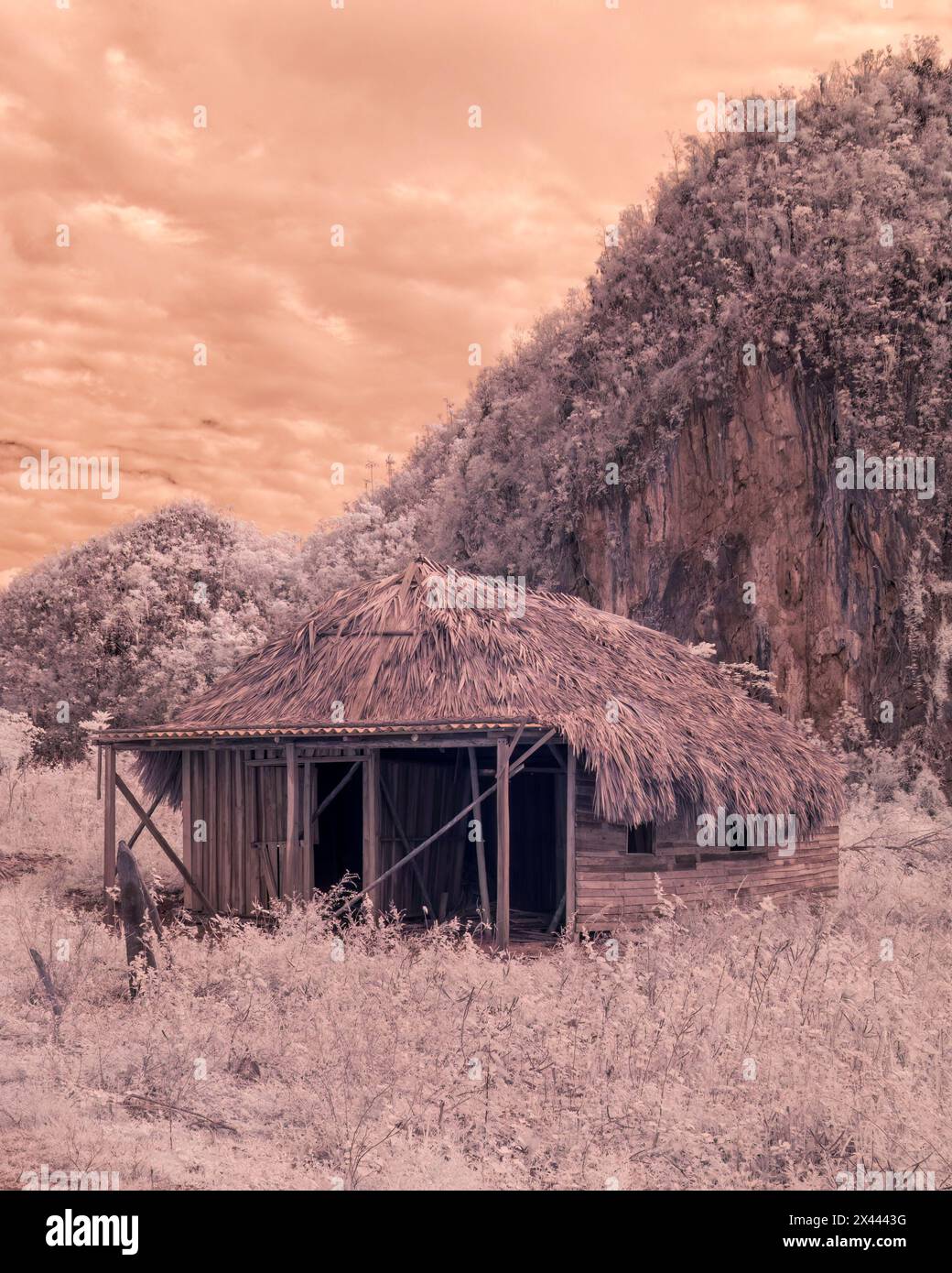 An infrared picture of a typical basic farmhouse buildings as found on the smaller plantations in and around Vinales, Cuba Stock Photo