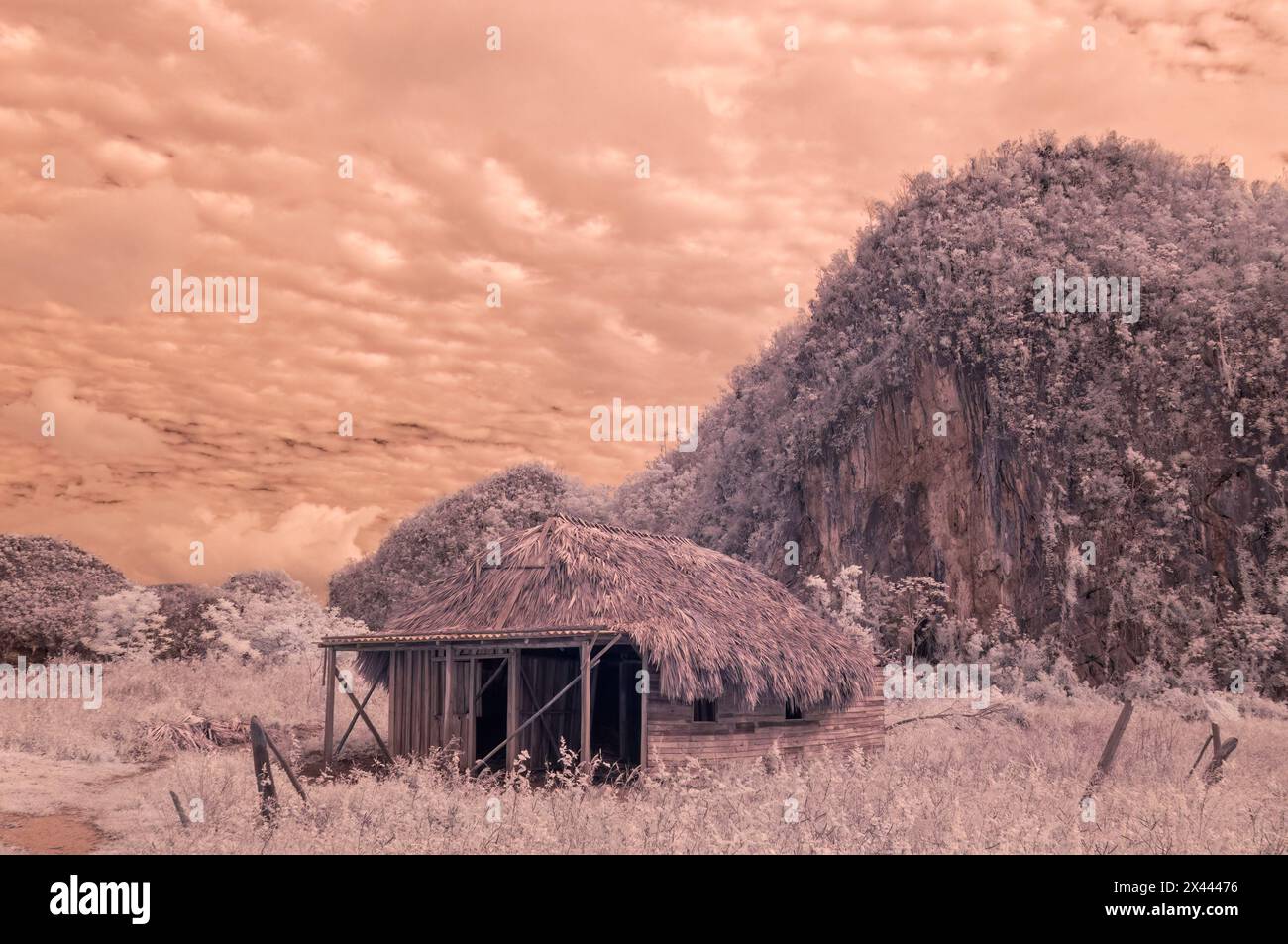 An infrared picture of a typical basic farmhouse buildings as found on the smaller plantations in and around Vinales, Cuba Stock Photo