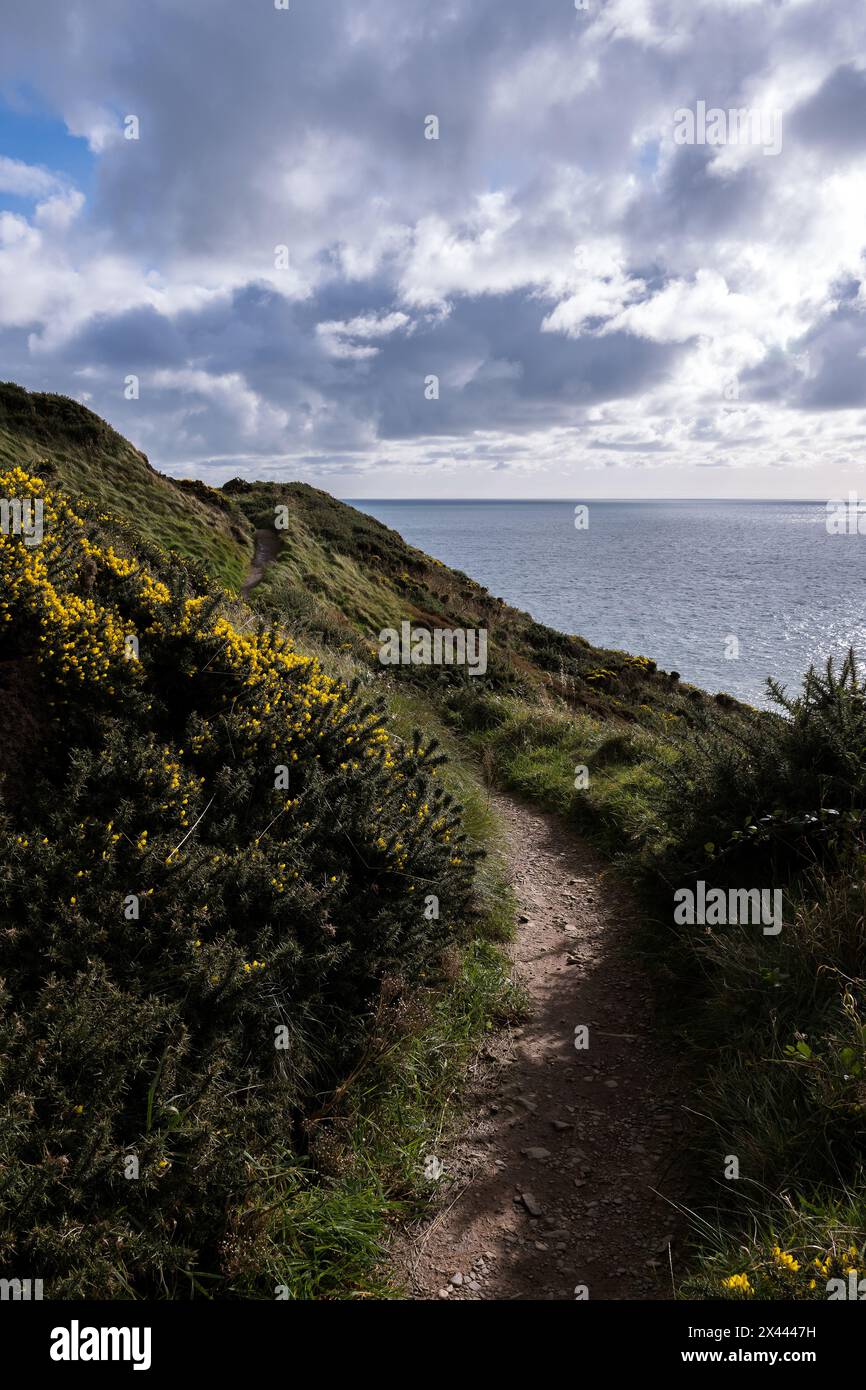 Portpatrick Cliffs Portpatrick footpath walk and cliffs of sea at Dumfries and Galloway ...