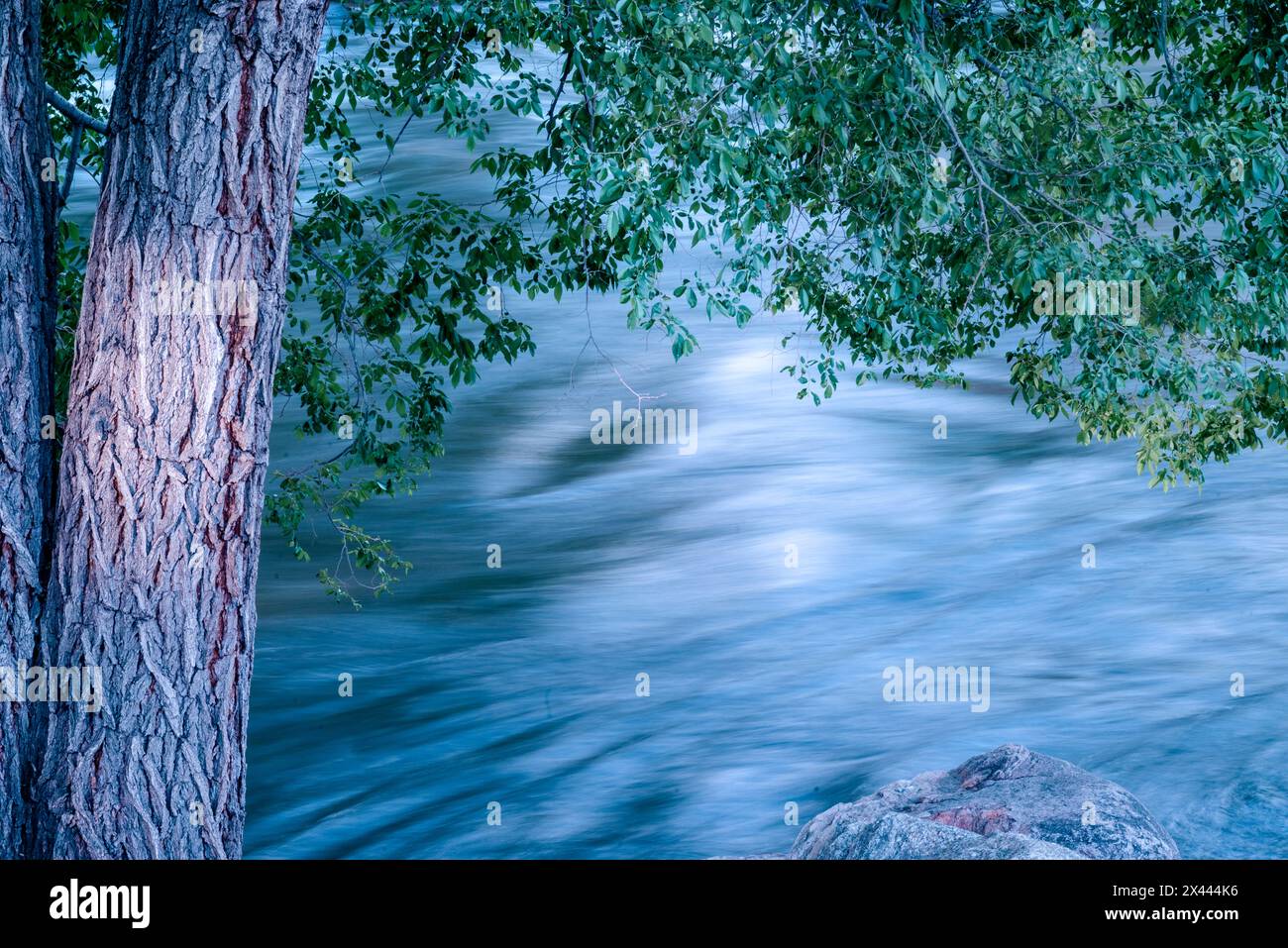 USA, Colorado. Close-up of Arkansas River in Salida. Stock Photo
