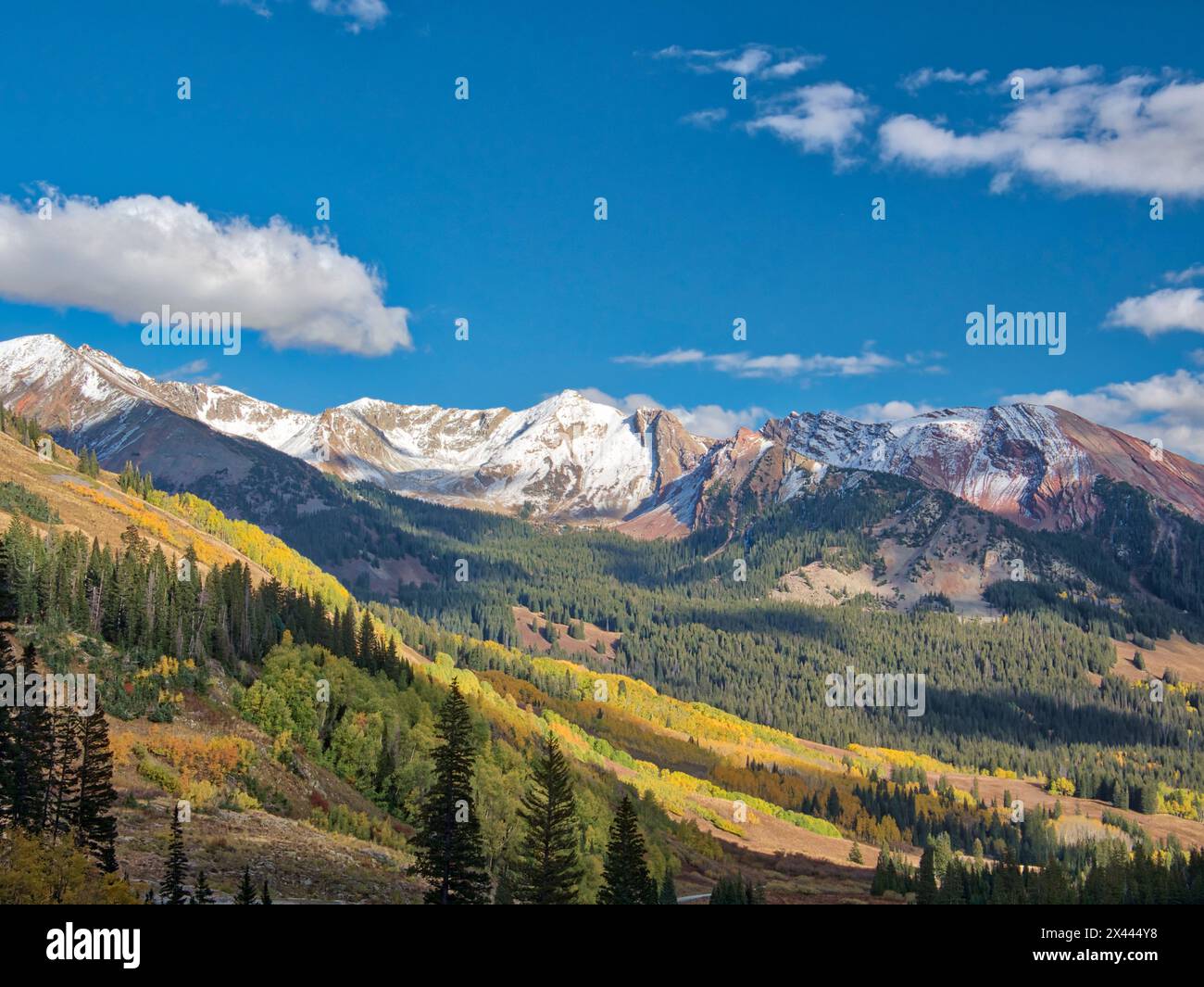 USA, Colorado, Kebler Pass. Fall foliage and Aspen trees at their peak