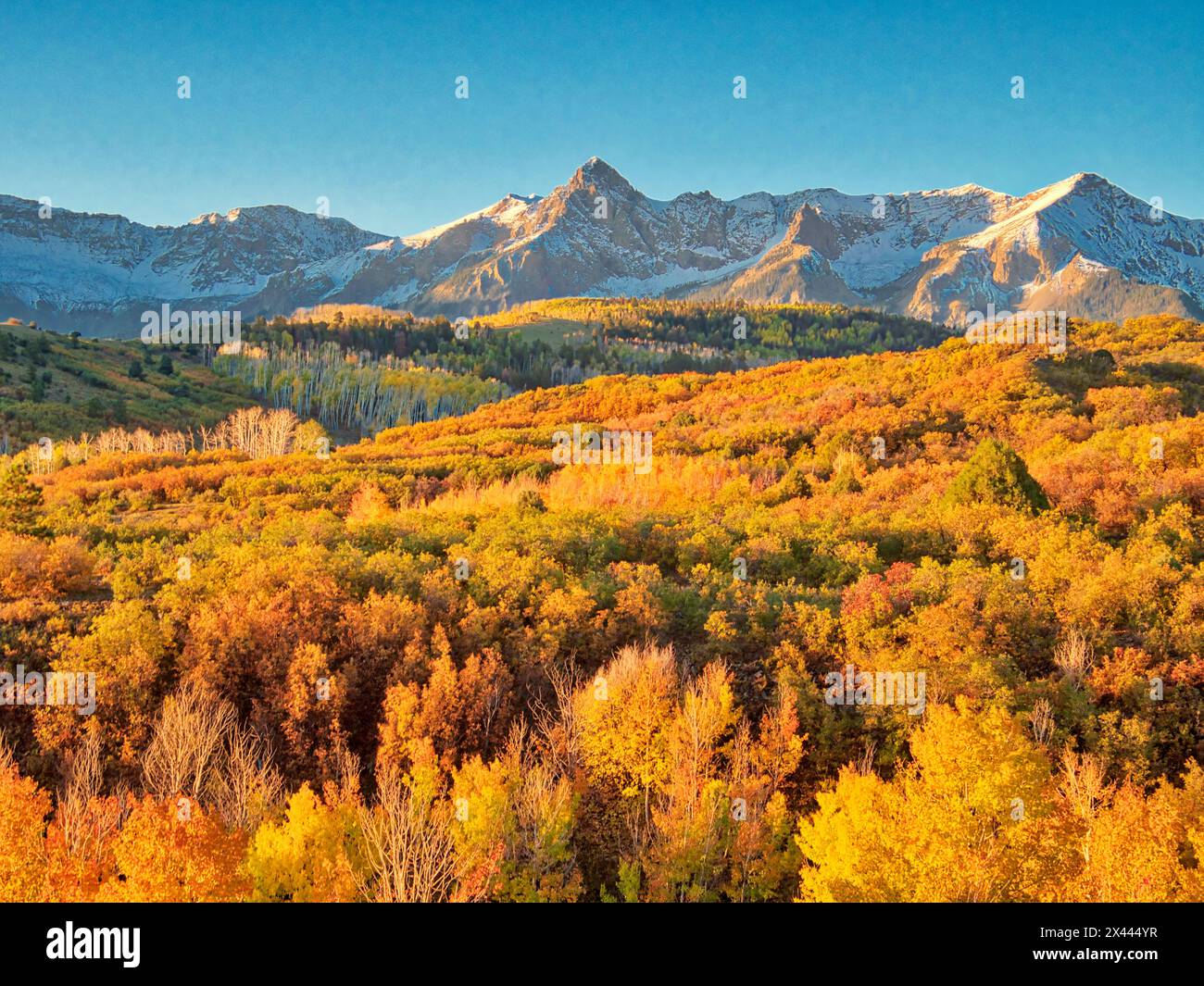 USA, Colorado, Quray. Dallas Divide, sunrise on the Mt. Snaffles with autumn colors Stock Photo
