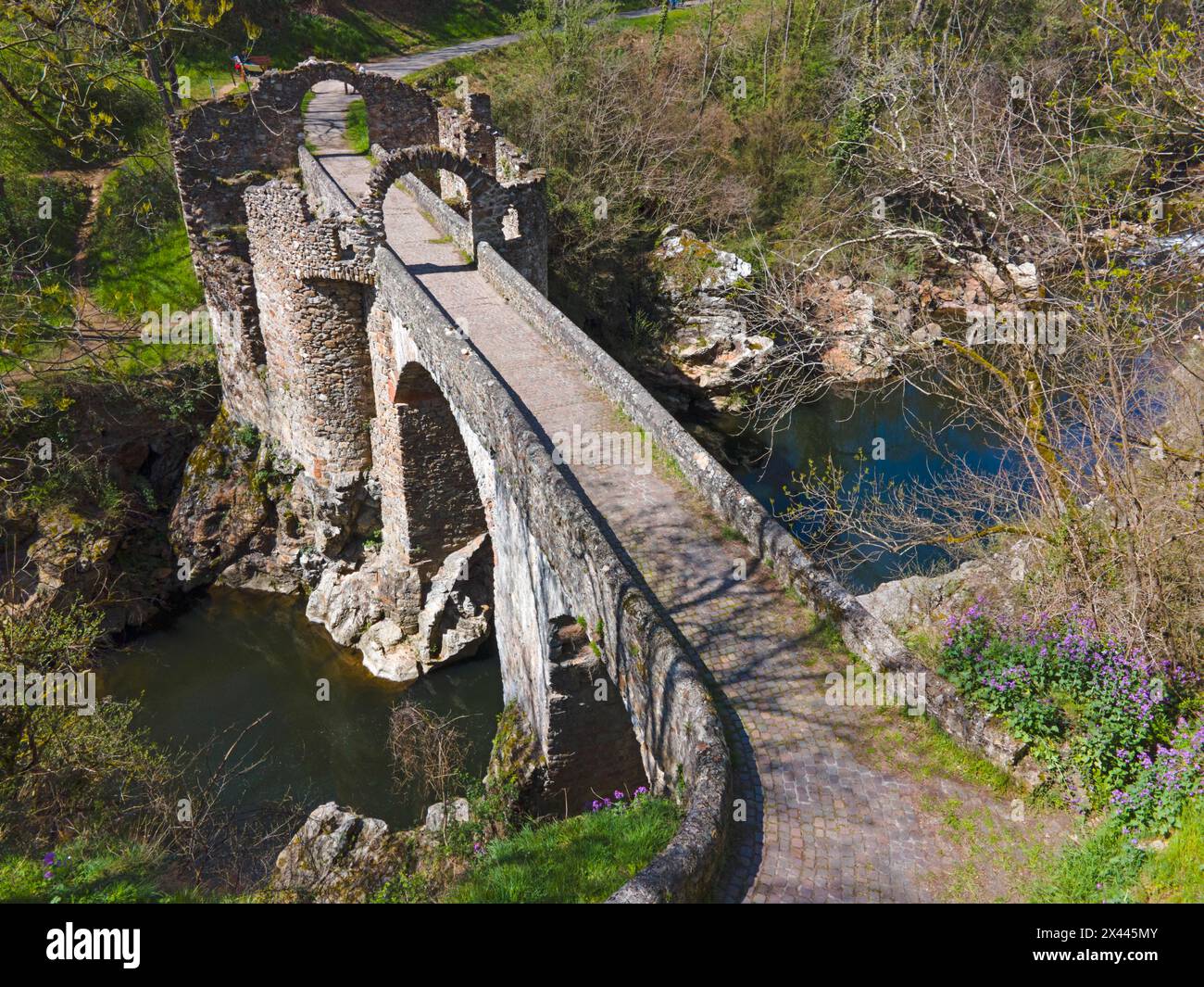 Curated visual reference: Old Arched Bridge Over A River Bordering Paths And Nature Photo Inspiration