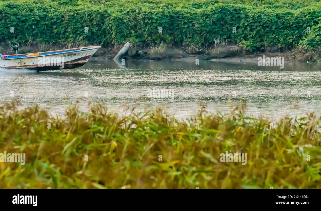 Front half of small motor boat speeding up river with lush green foliage in the background and blurred out foliage in fore in NamHae, South Koreand Stock Photo