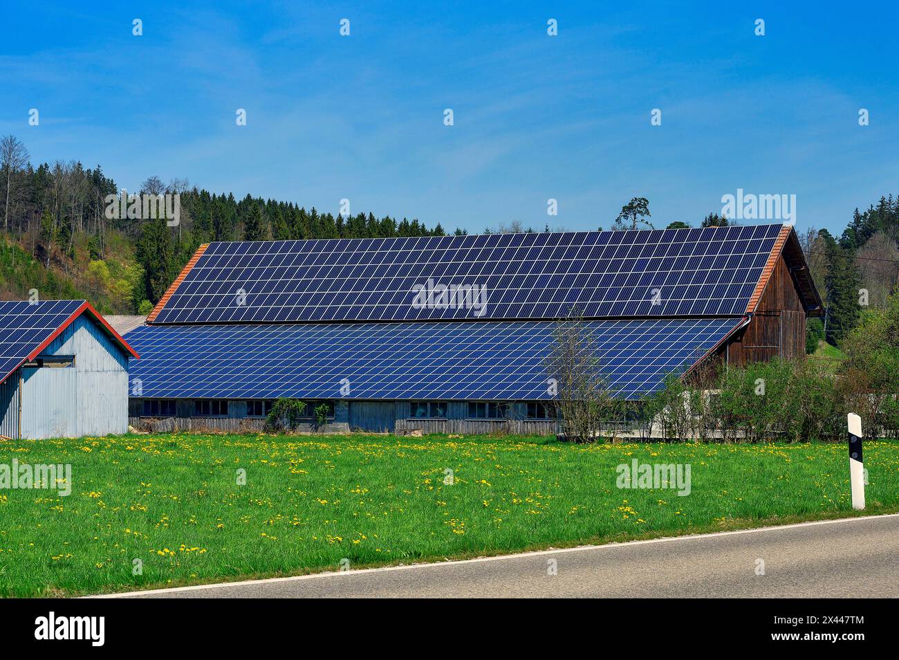 Barns with solar roofs, Allgaeu, Swabia, Bavaria, Germany Stock Photo