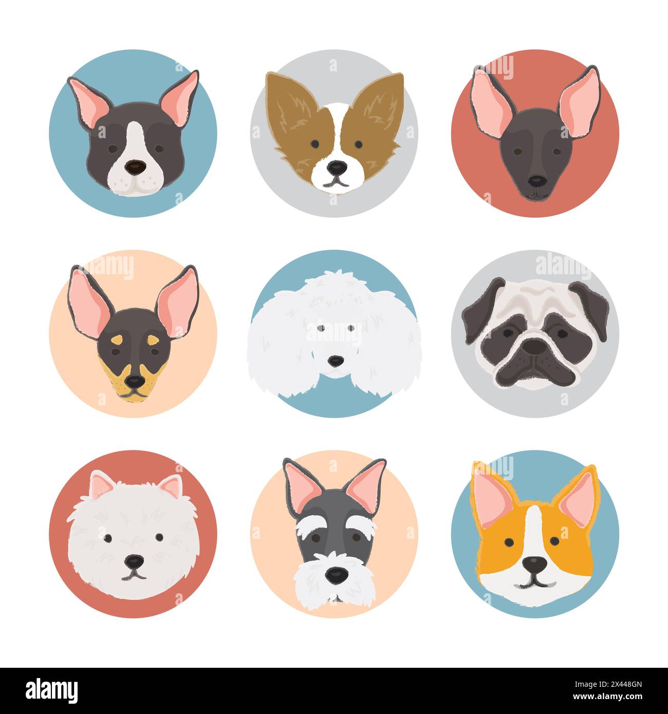 Illustration of dogs collection Stock Photo