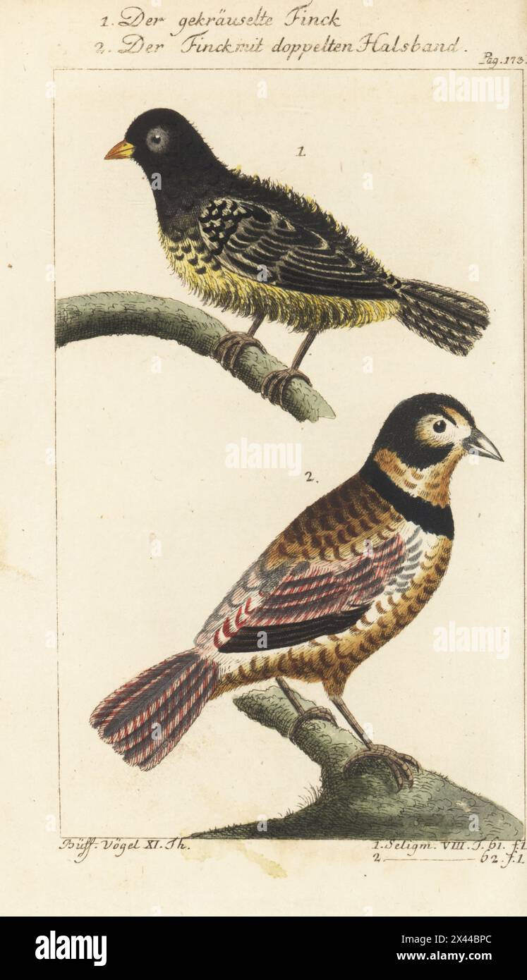 Cesar Azpilicueta of Chelsea holds the UEFA Super Cup Trophy... News Photo  - Getty Images, image size:747x1390