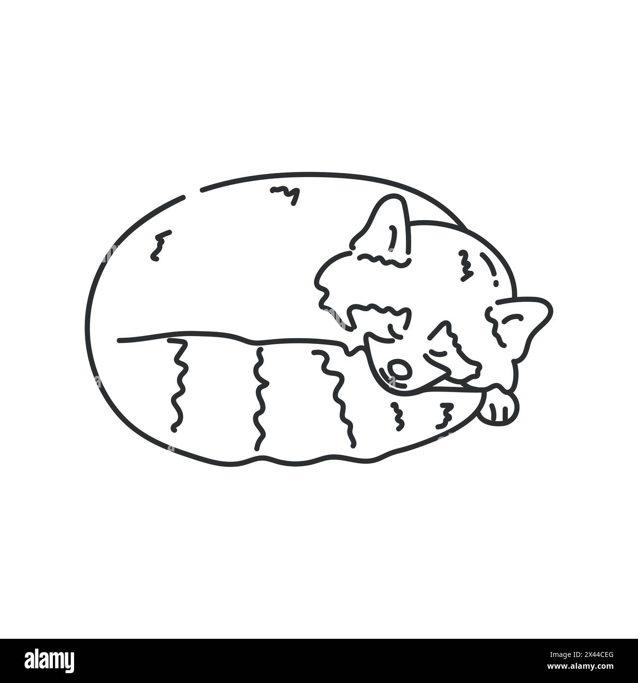 Hand drawn cute red panda is sleeping. Red panda outline. Vector