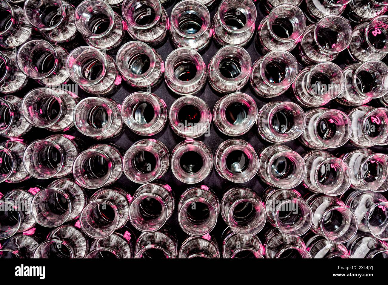 USA, Washington State, Red Mountain. Samplers of Cabernet Sauvignon ready for the tasters' evaluation. Stock Photo